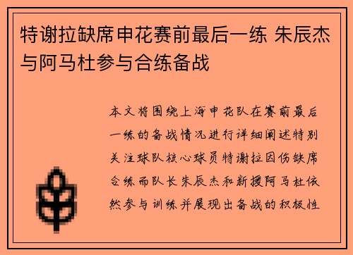 特谢拉缺席申花赛前最后一练 朱辰杰与阿马杜参与合练备战
